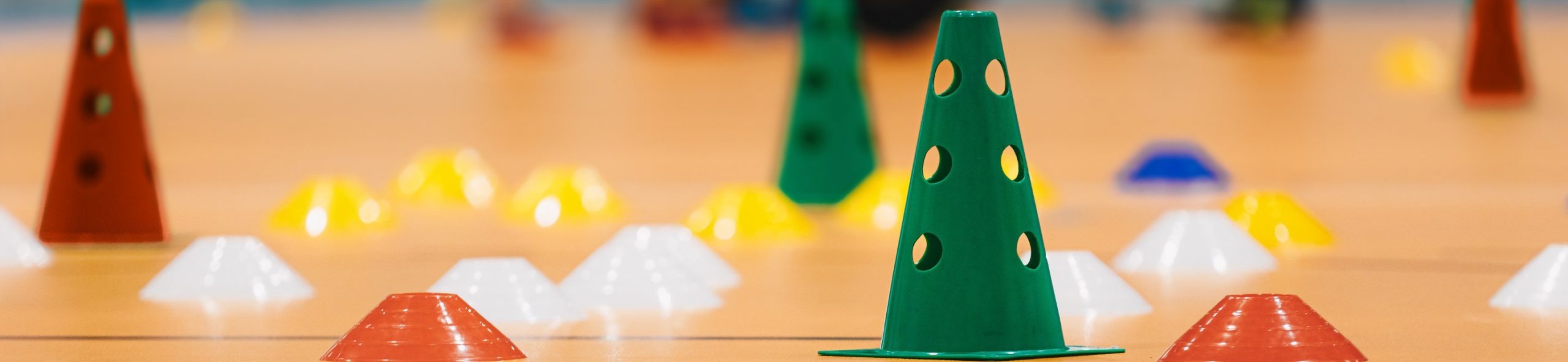 Grupo de Investigación en Actividad Física y Salud Escolar (AFySE)​