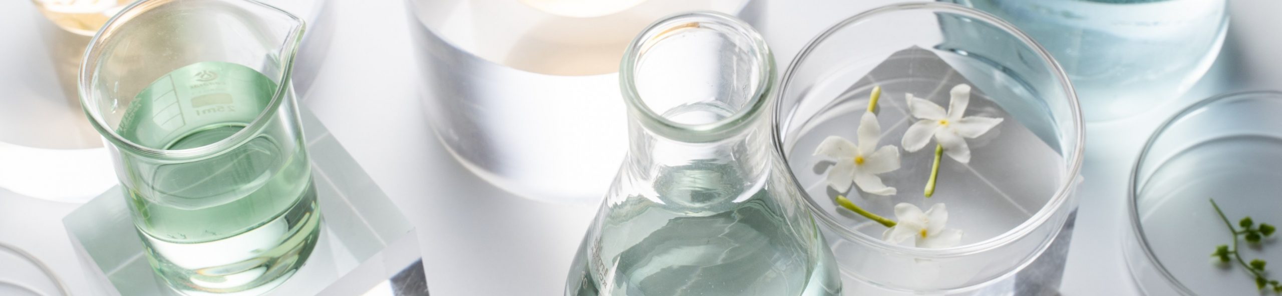 Centro de Investigación en Ciencias Biológicas y Químicas (CICBQ)