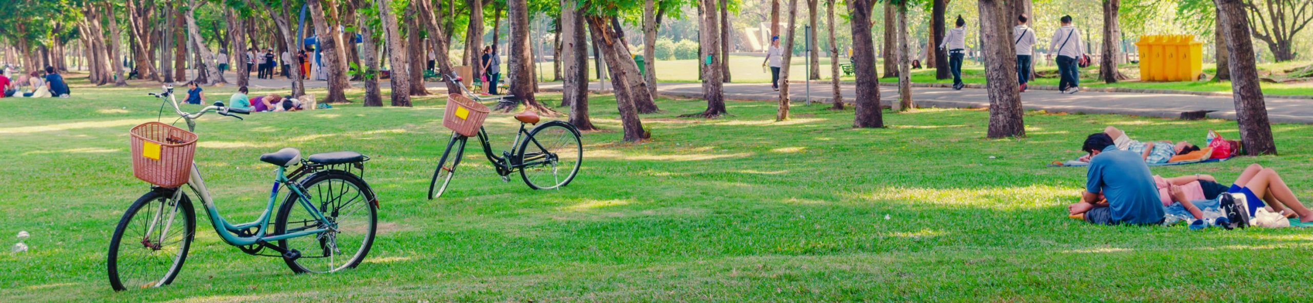 Grupo de Investigación en el Cuidado Integral de la Comunidad (GICIC)​