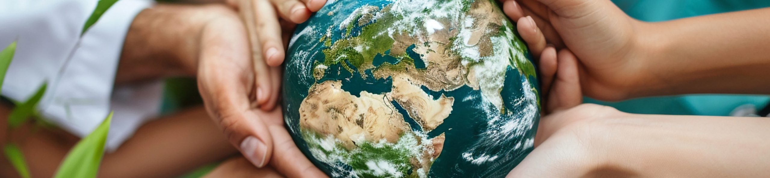 Núcleo de Investigación en One Health (NIOH)​