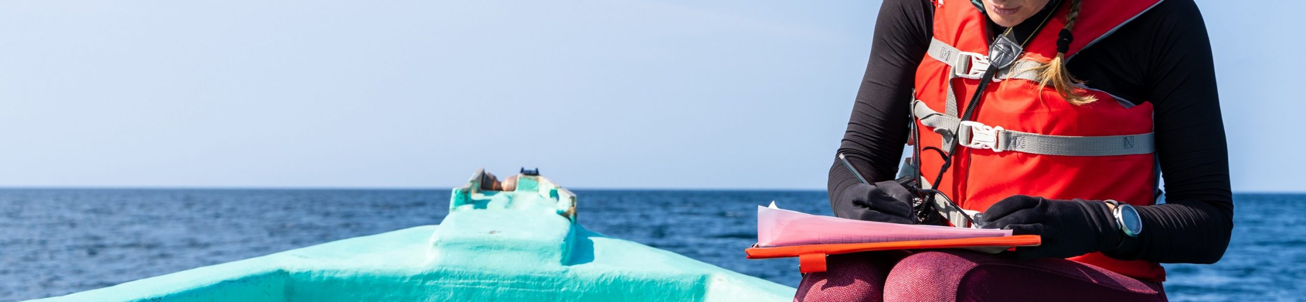 Núcleo de Investigación en Producción y Salud de Especies Acuáticas (NIP-SEA)​